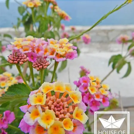 House Of Joy With 3 Bedrooms And Great Views * Ajía Effimía
